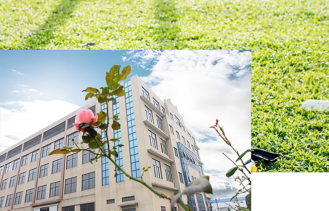 關於色天堂下载